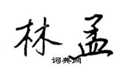 王正良林孟行书个性签名怎么写
