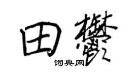王正良田郁行书个性签名怎么写