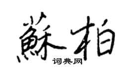 王正良苏柏行书个性签名怎么写