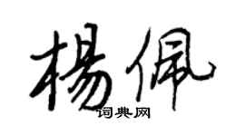 王正良杨佩行书个性签名怎么写