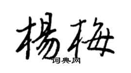 王正良杨梅行书个性签名怎么写