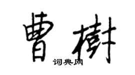 王正良曹树行书个性签名怎么写
