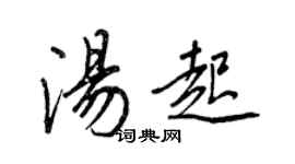 王正良汤起行书个性签名怎么写