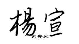 王正良杨宣行书个性签名怎么写