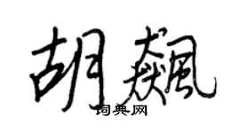 王正良胡飙行书个性签名怎么写