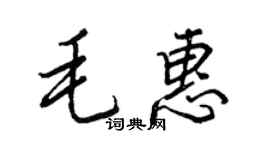 王正良毛惠行书个性签名怎么写
