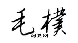 王正良毛朴行书个性签名怎么写