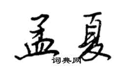 王正良孟夏行书个性签名怎么写