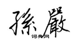 王正良孙严行书个性签名怎么写