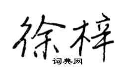 王正良徐梓行书个性签名怎么写