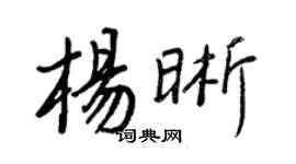 王正良杨晰行书个性签名怎么写