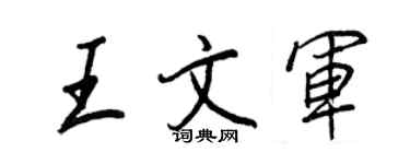 王正良王文军行书个性签名怎么写