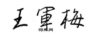 王正良王军梅行书个性签名怎么写