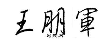 王正良王朋军行书个性签名怎么写