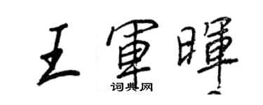 王正良王军晖行书个性签名怎么写