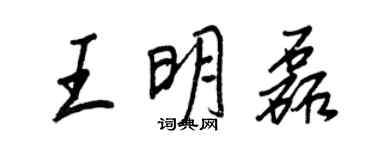 王正良王明磊行书个性签名怎么写