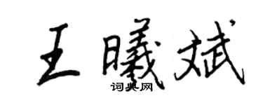 王正良王曦斌行书个性签名怎么写
