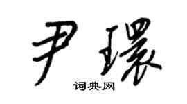 王正良尹环行书个性签名怎么写