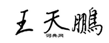 王正良王天鹏行书个性签名怎么写