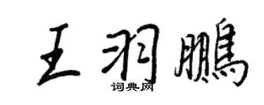 王正良王羽鹏行书个性签名怎么写