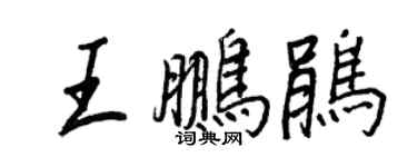 王正良王鹏鹃行书个性签名怎么写