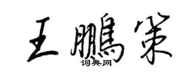 王正良王鹏策行书个性签名怎么写