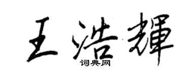 王正良王浩辉行书个性签名怎么写
