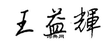 王正良王益辉行书个性签名怎么写