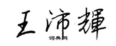 王正良王沛辉行书个性签名怎么写