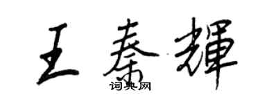 王正良王秦辉行书个性签名怎么写