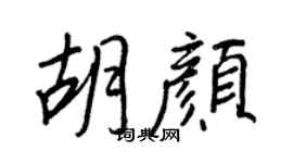 王正良胡颜行书个性签名怎么写