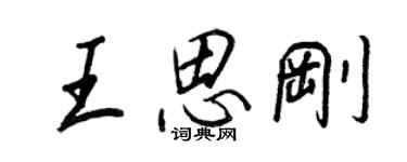 王正良王思刚行书个性签名怎么写