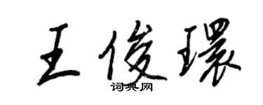 王正良王俊环行书个性签名怎么写
