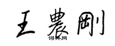 王正良王农刚行书个性签名怎么写