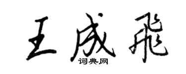 王正良王成飞行书个性签名怎么写