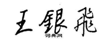 王正良王银飞行书个性签名怎么写