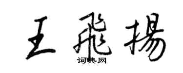王正良王飞扬行书个性签名怎么写