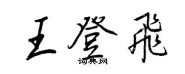 王正良王登飞行书个性签名怎么写