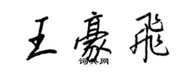 王正良王豪飞行书个性签名怎么写