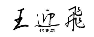 王正良王迎飞行书个性签名怎么写