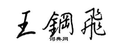 王正良王钢飞行书个性签名怎么写