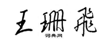 王正良王珊飞行书个性签名怎么写