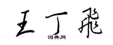 王正良王丁飞行书个性签名怎么写