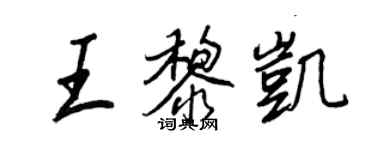 王正良王黎凯行书个性签名怎么写