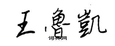 王正良王鲁凯行书个性签名怎么写