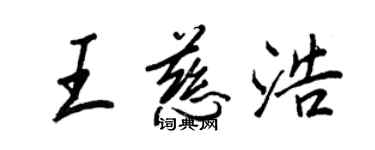 王正良王慈浩行书个性签名怎么写