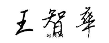 王正良王智华行书个性签名怎么写