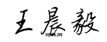 王正良王晨毅行书个性签名怎么写