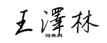 王正良王泽林行书个性签名怎么写