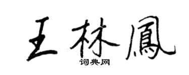 王正良王林凤行书个性签名怎么写